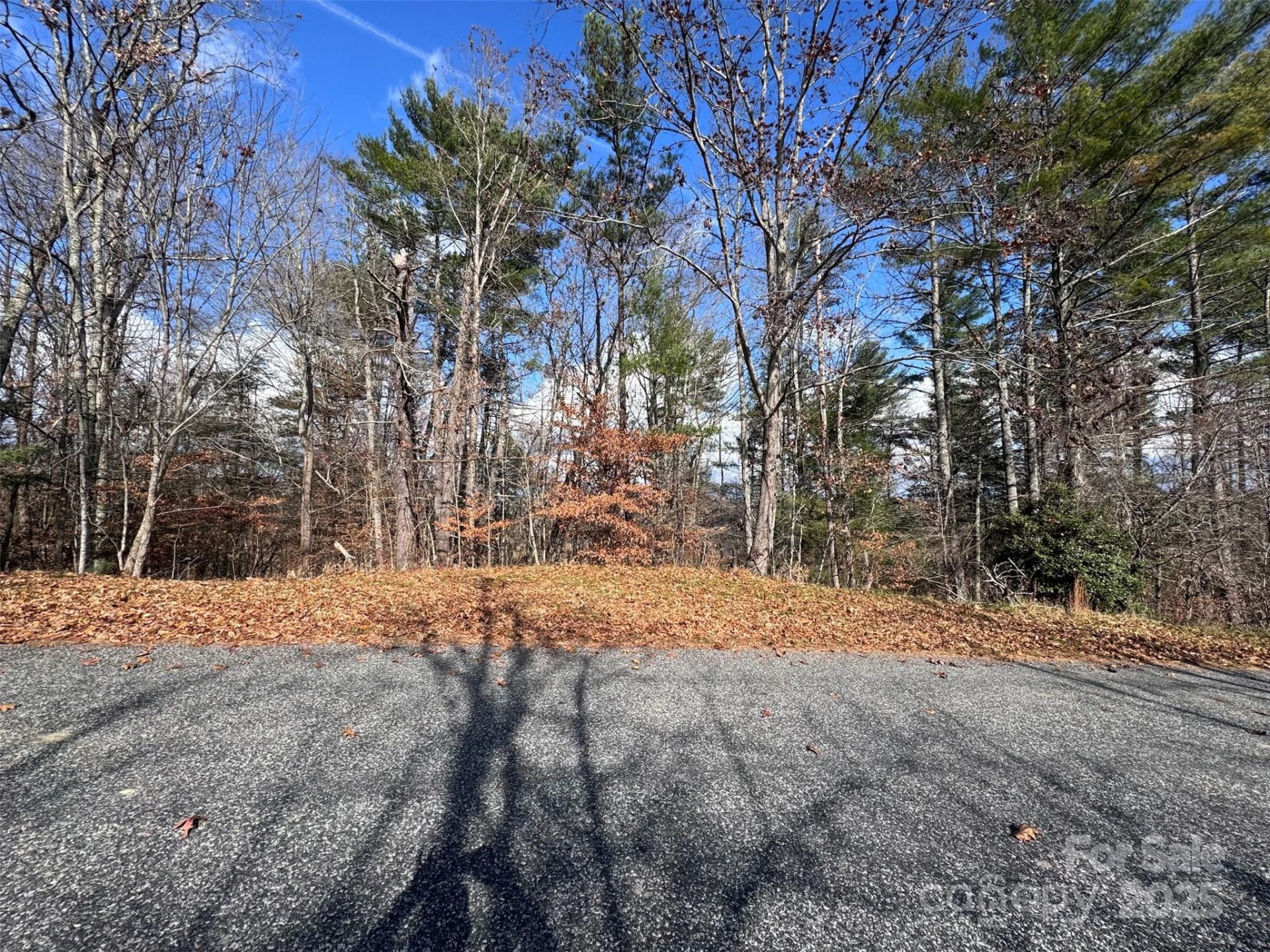 55 & 119 Webb Drive - Photo 39