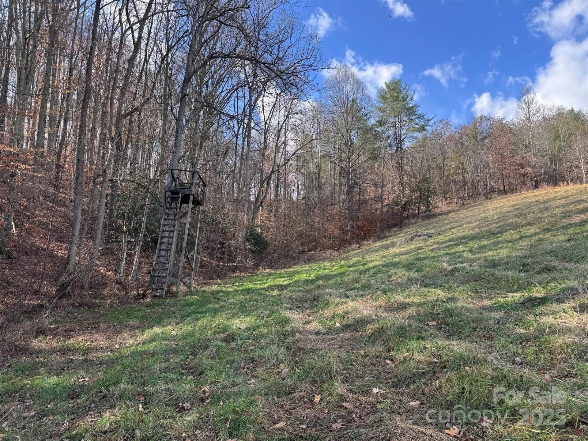 55 & 119 Webb Drive - Photo 40