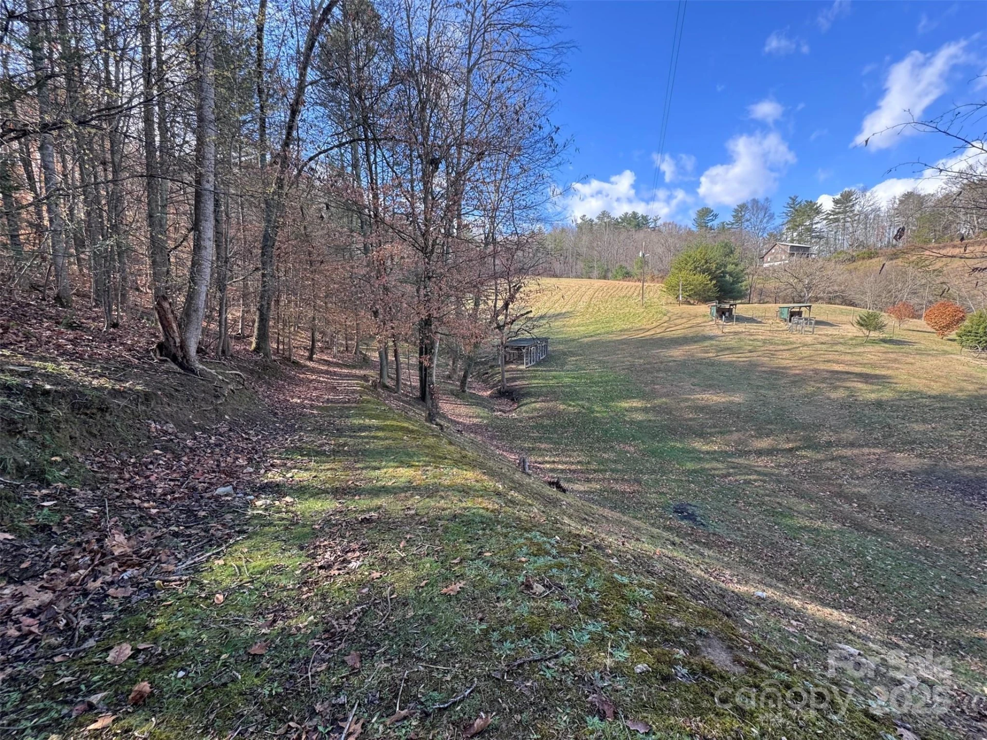 55 & 119 Webb Drive - Photo 7