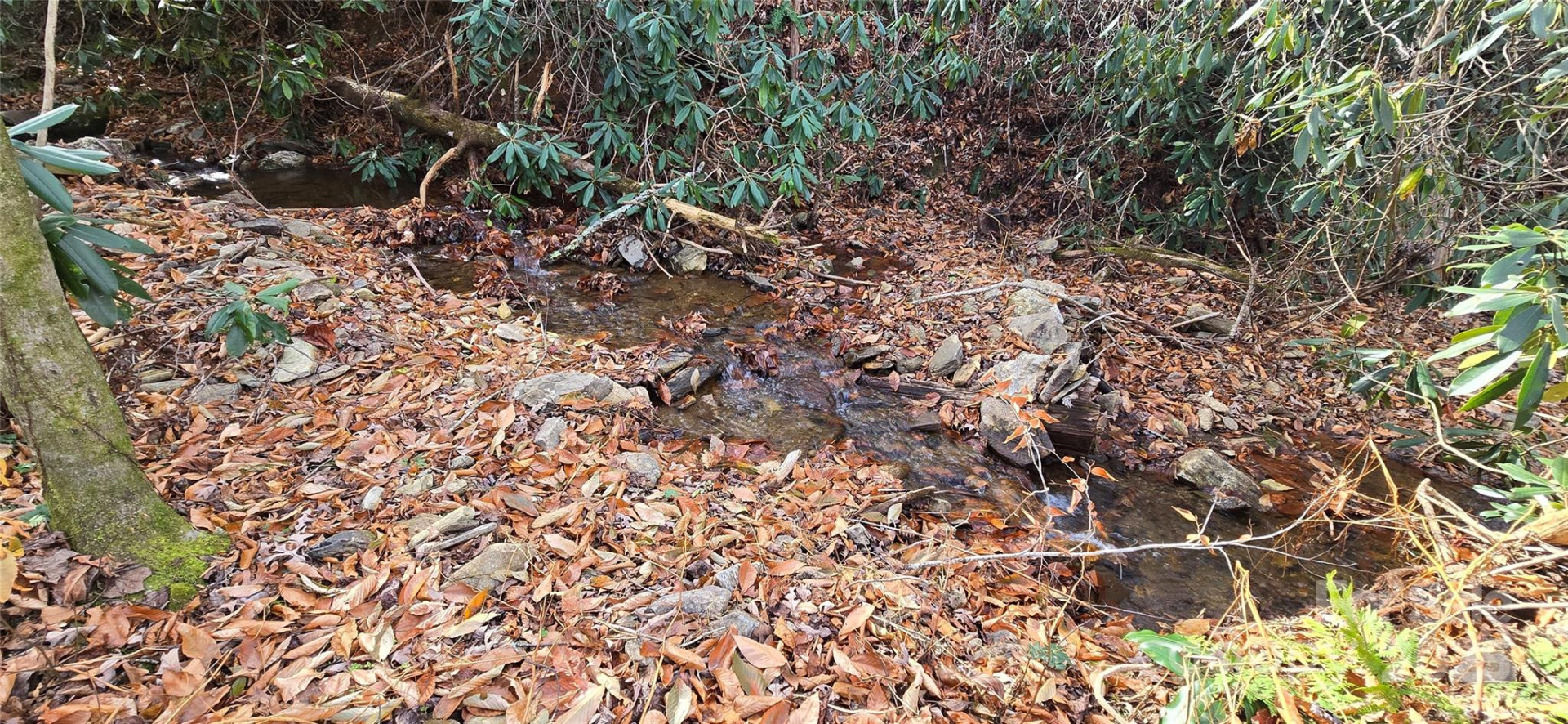 Lot 24 Twinbrook Lane - Photo 3