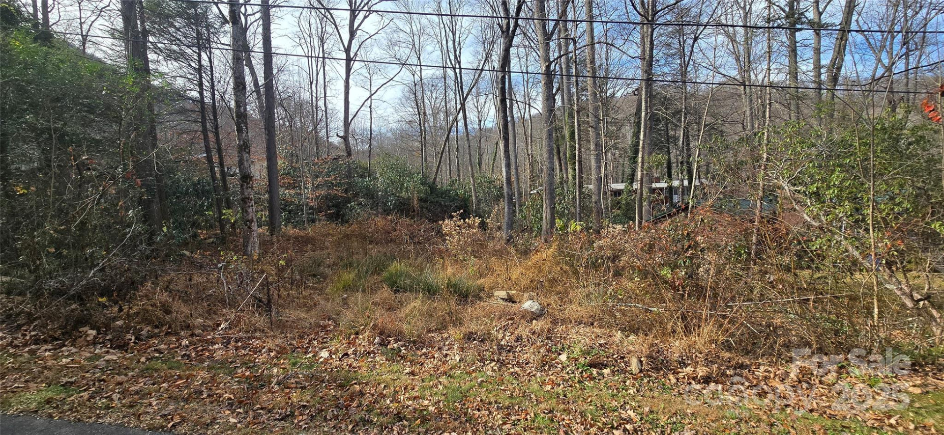 Lot 24 Twinbrook Lane - Photo 5