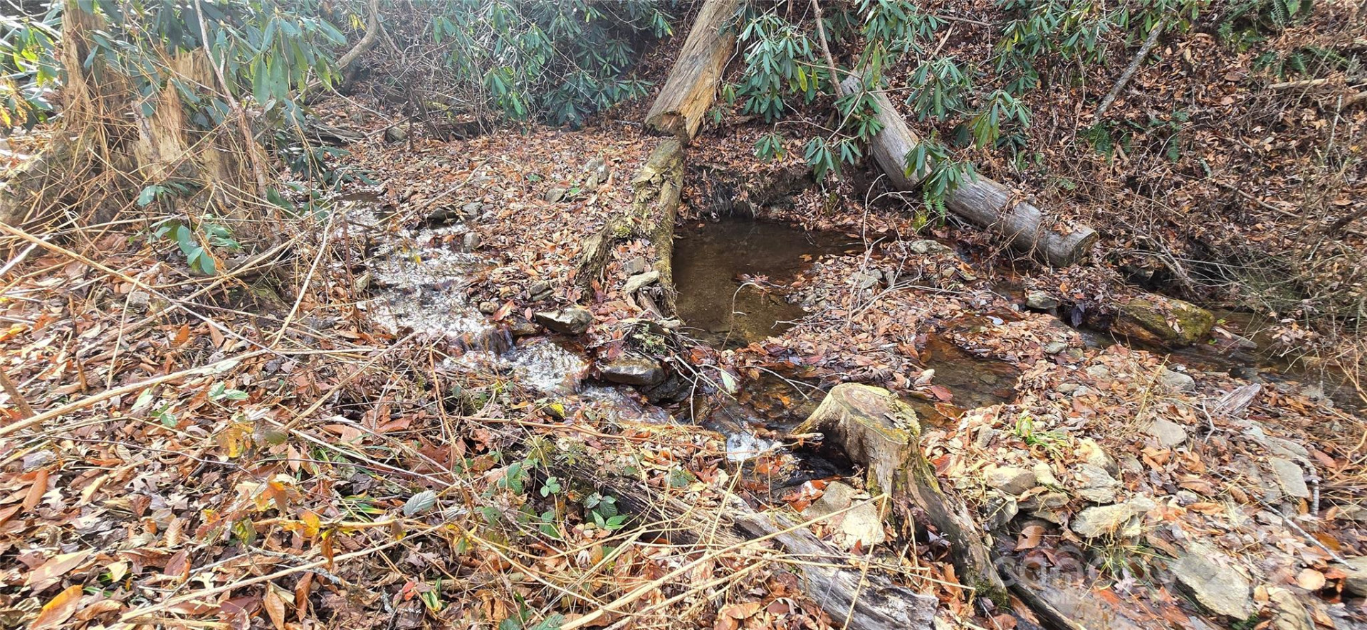 Lot 24 Twinbrook Lane - Photo 6