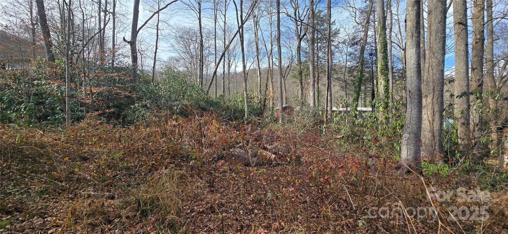 Lot 24 Twinbrook Lane - Photo 8