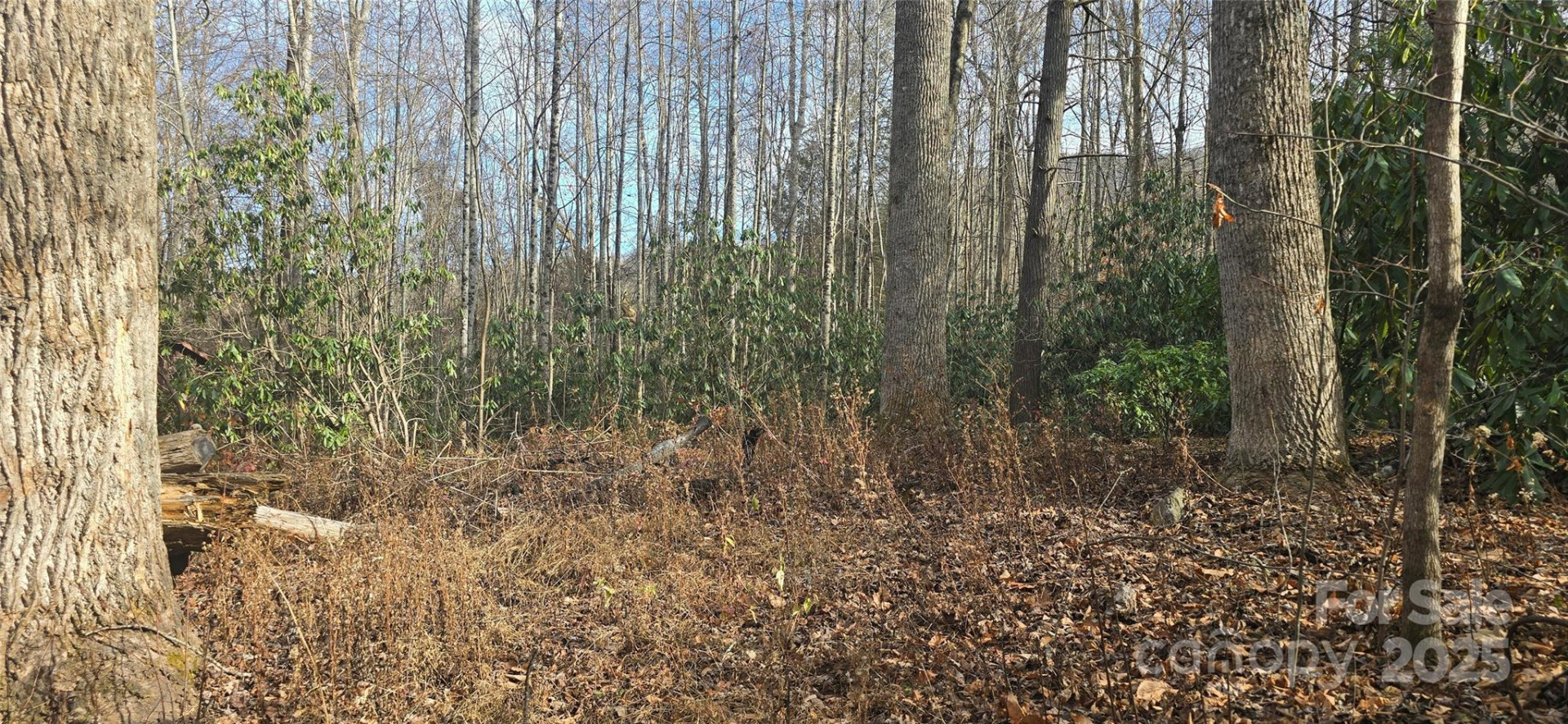 Lot 20 Twinbrook Lane - Photo 11