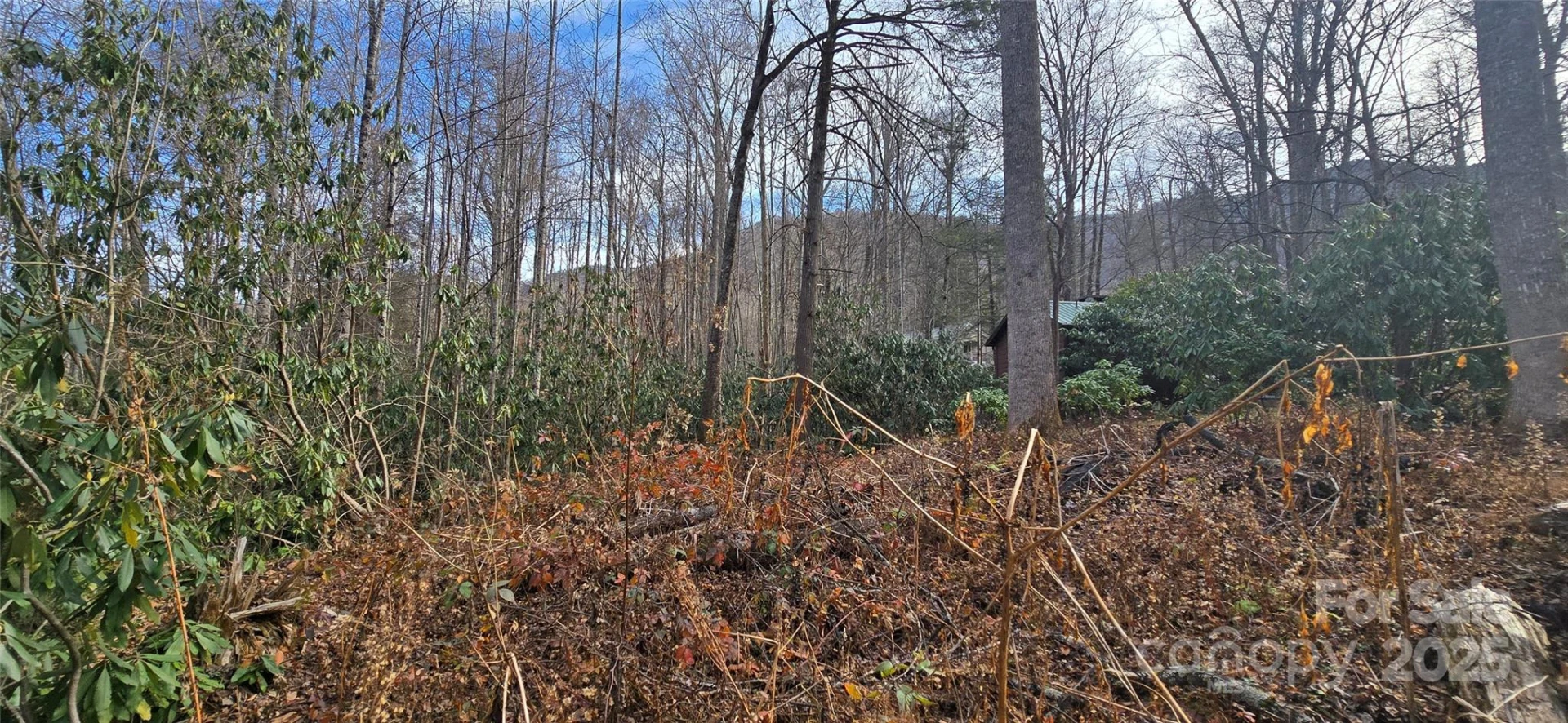 Lot 20 Twinbrook Lane - Photo 3