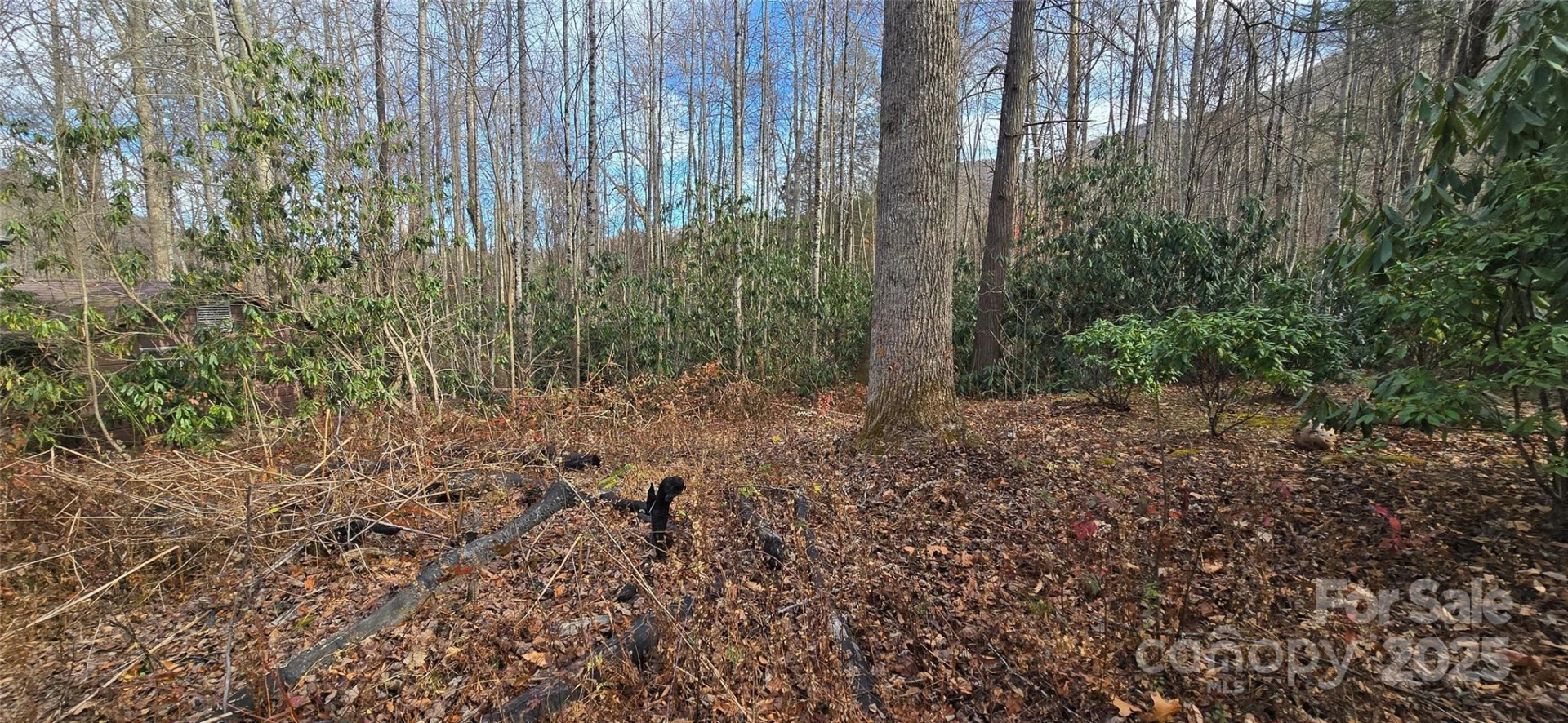 Lot 20 Twinbrook Lane - Photo 4