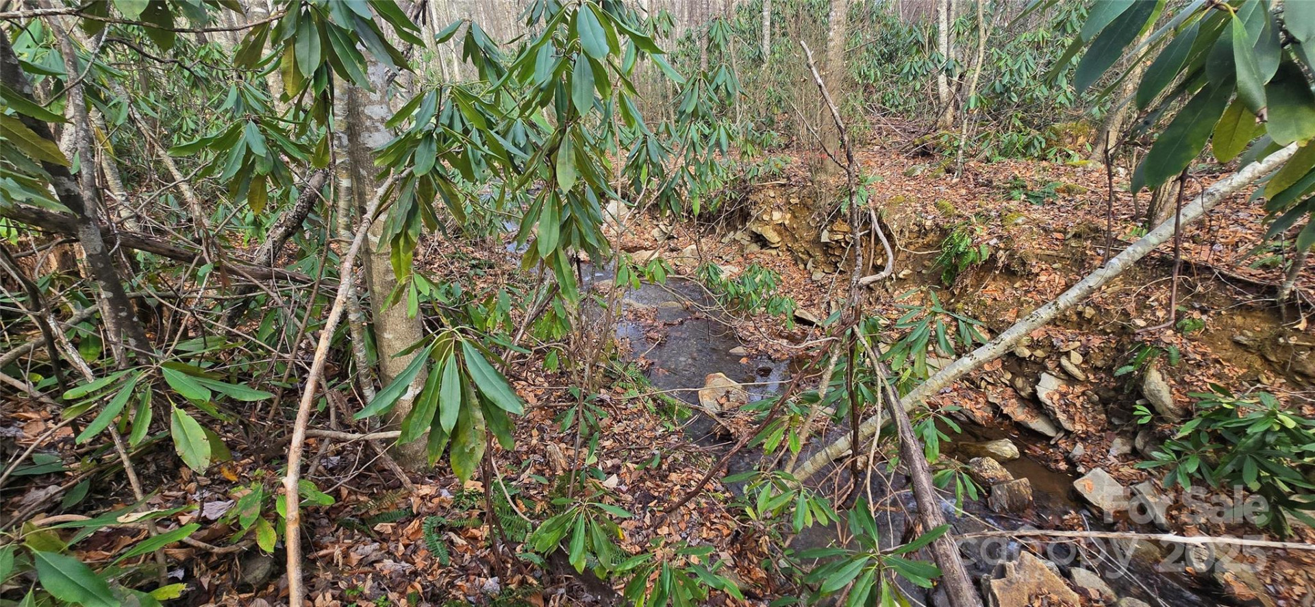 Lot 20 Twinbrook Lane - Photo 5