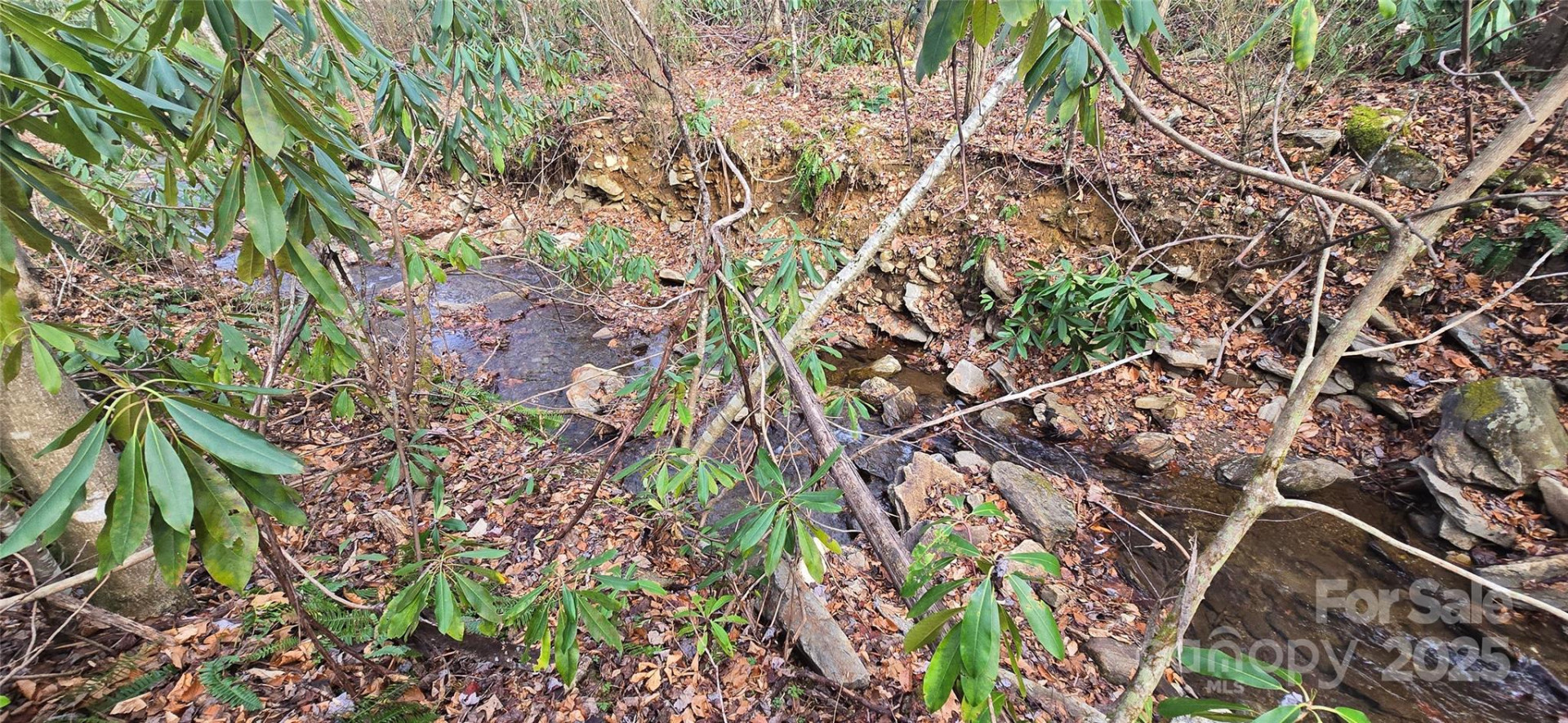 Lot 20 Twinbrook Lane - Photo 6