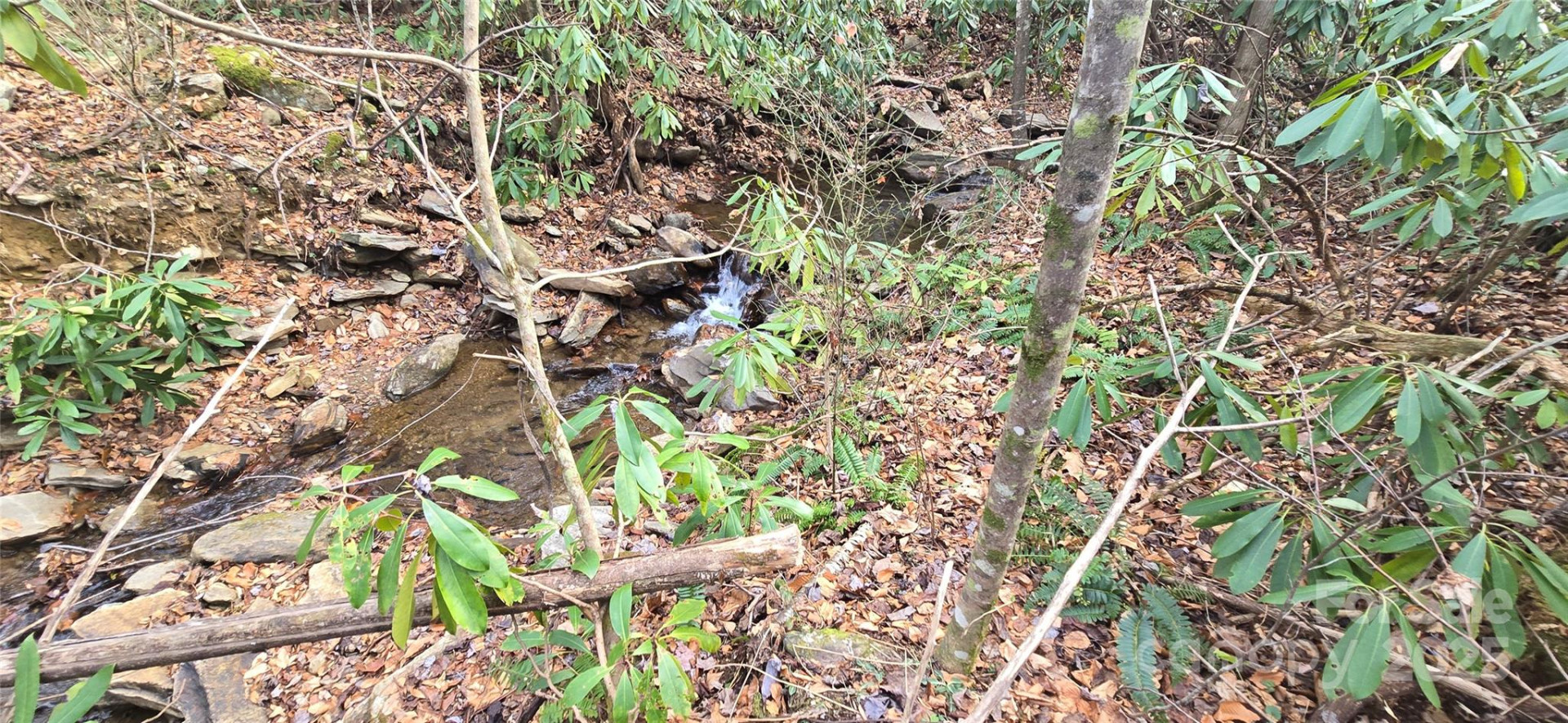 Lot 20 Twinbrook Lane - Photo 7