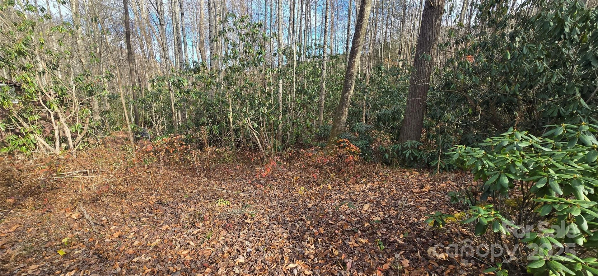 Lot 20 Twinbrook Lane - Photo 9