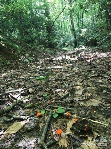 172 Crimson Drive #995 - Photo 2