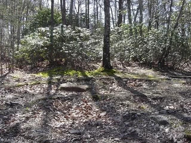 91 Old Forge Drive, Bostic, NC, 28018