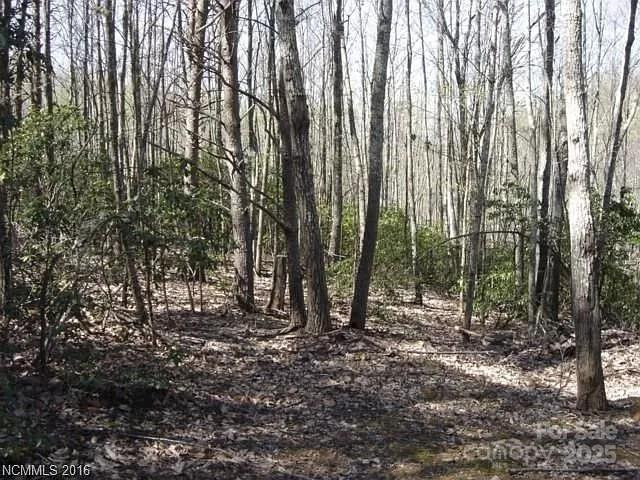 91 Old Forge Drive - Photo 2