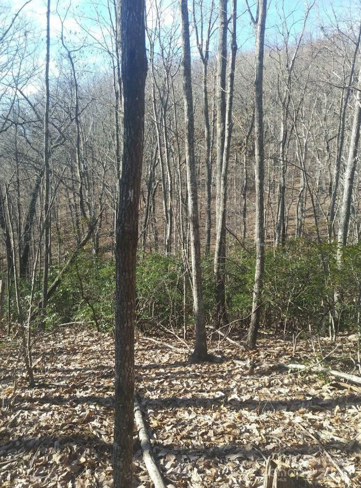 91 Old Forge Drive - Photo 11