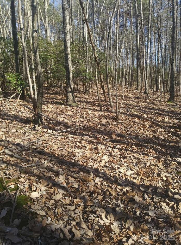 91 Old Forge Drive - Photo 12