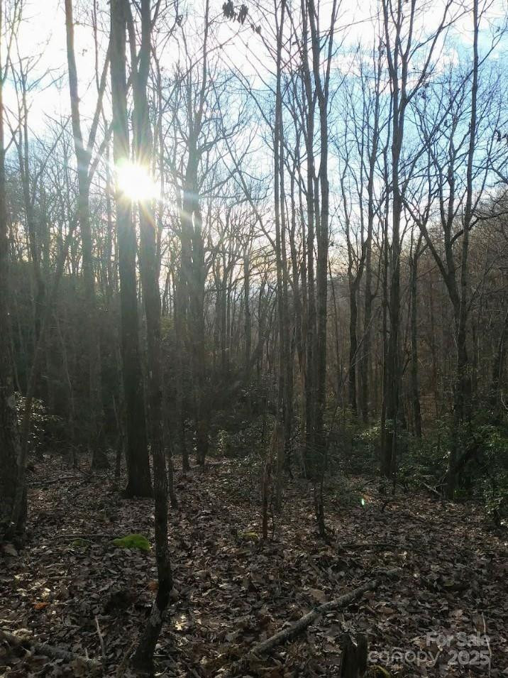 91 Old Forge Drive - Photo 13