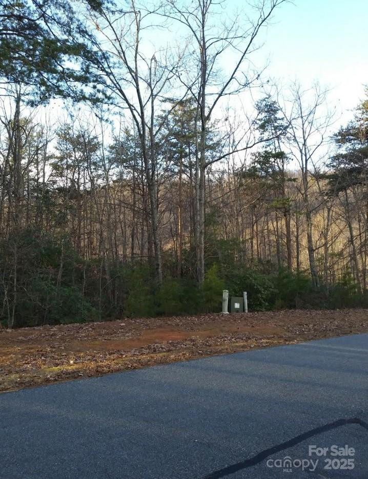 91 Old Forge Drive - Photo 14