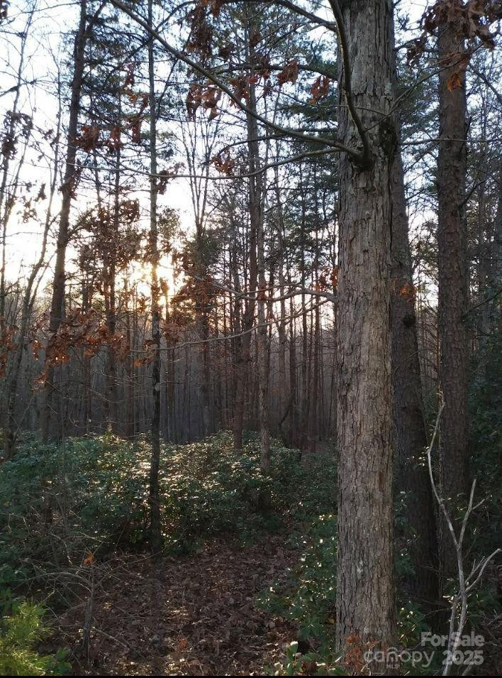 91 Old Forge Drive - Photo 15