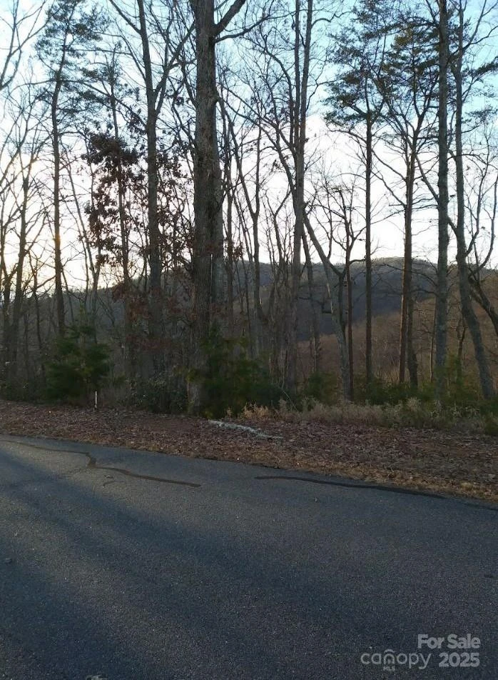 91 Old Forge Drive - Photo 16