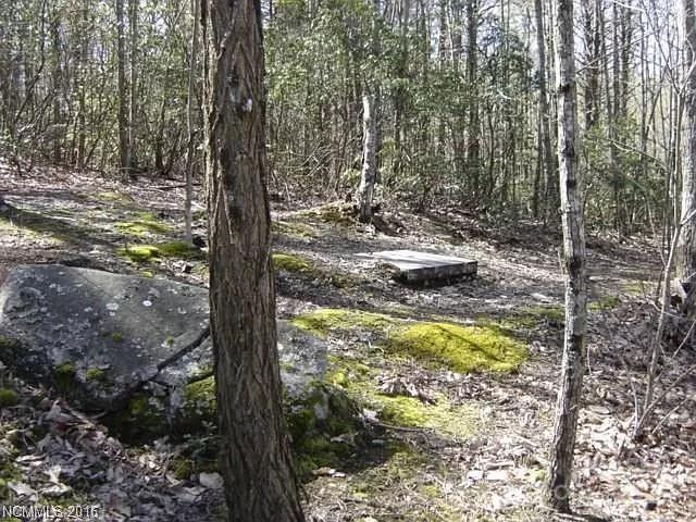 91 Old Forge Drive - Photo 3