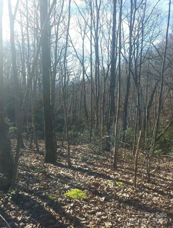 91 Old Forge Drive - Photo 10