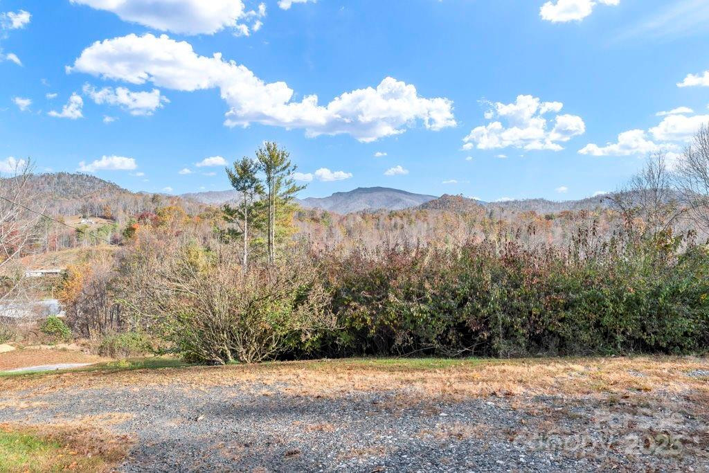 307 Minnie Lane - Photo 38