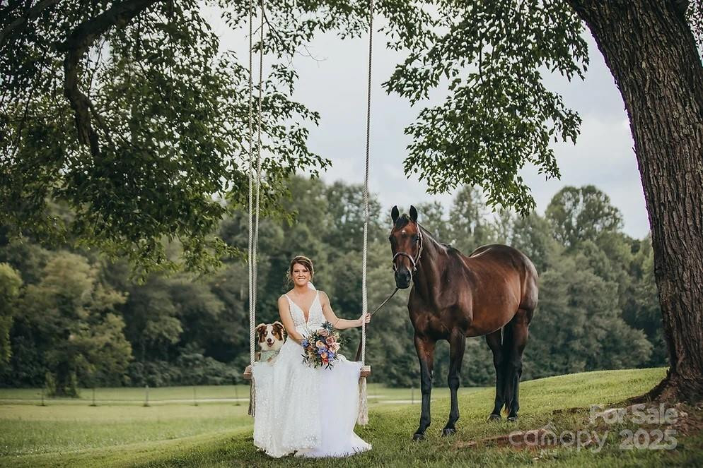 732 Crowe Dairy Road - Photo 10