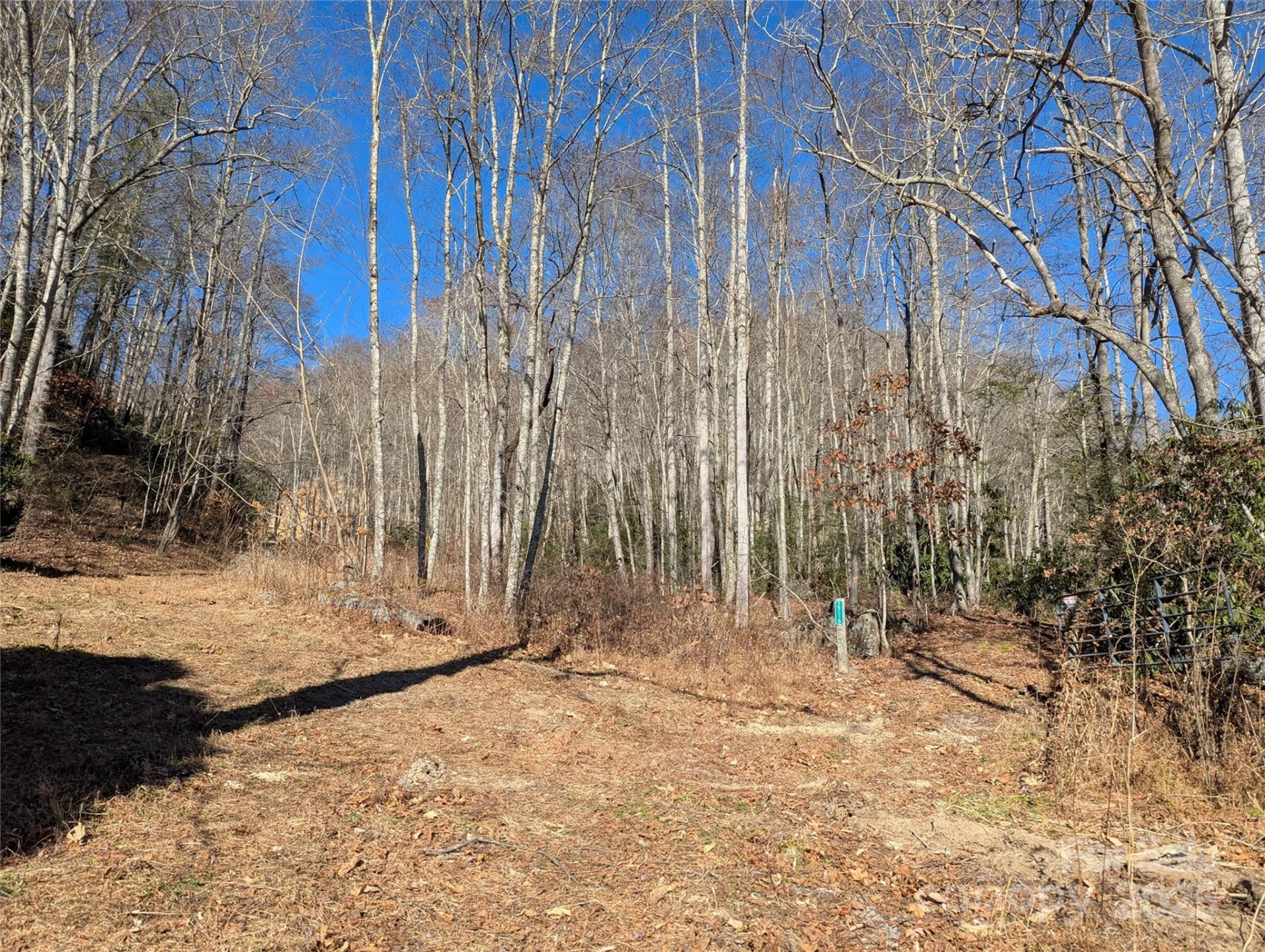 2726 Lower Flat Creek Road - Photo 11