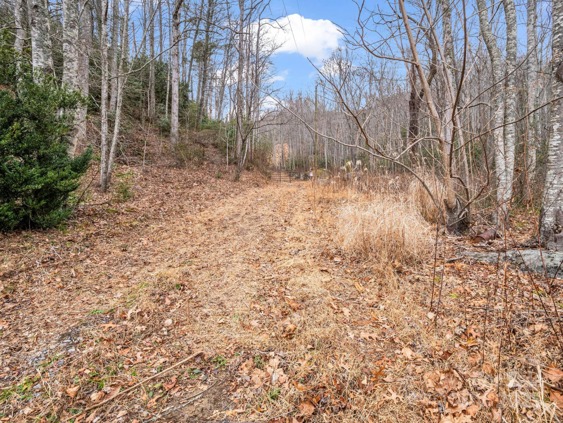 2726 Lower Flat Creek Road - Photo 12