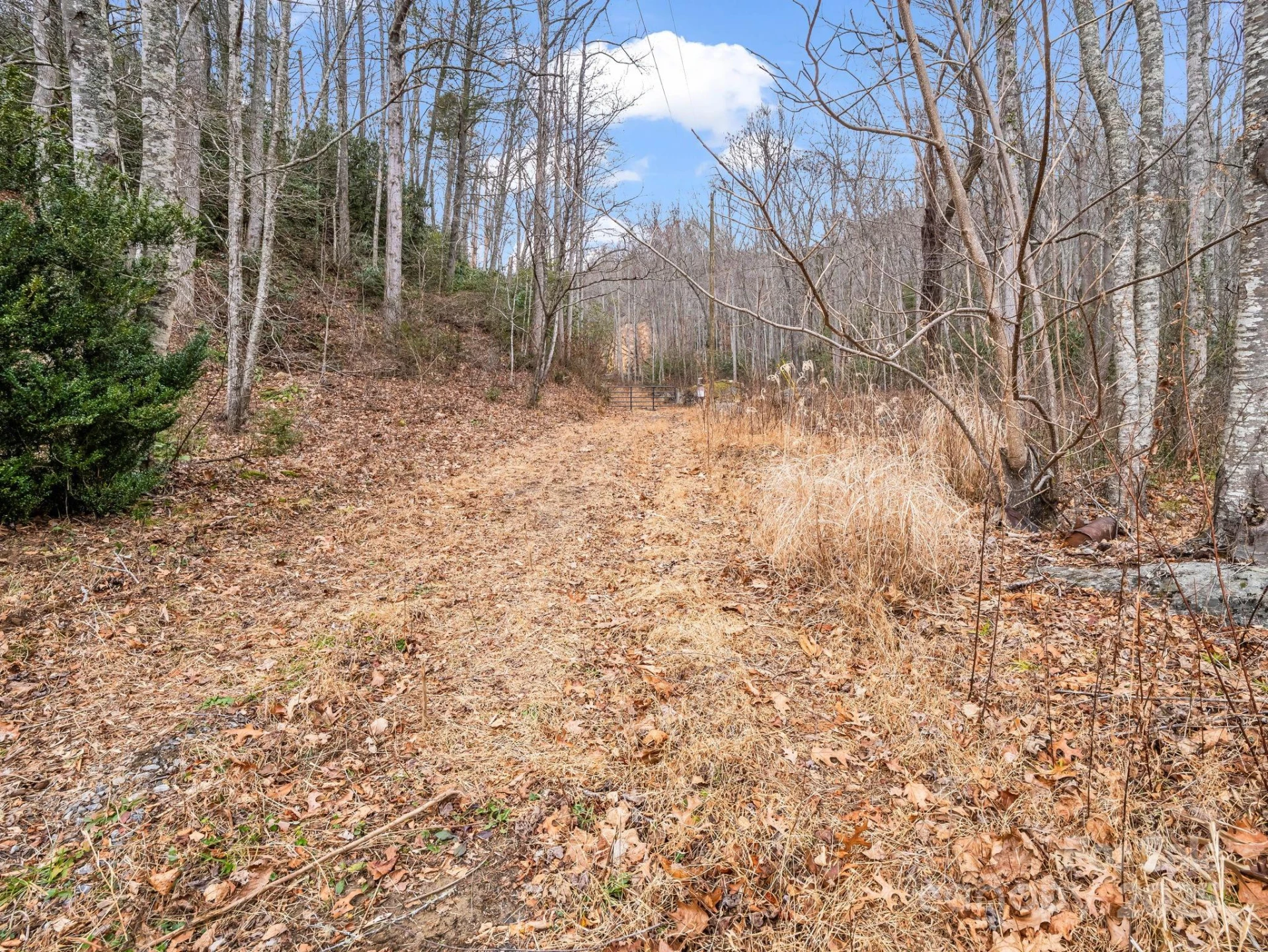 2726 Lower Flat Creek Road - Photo 12