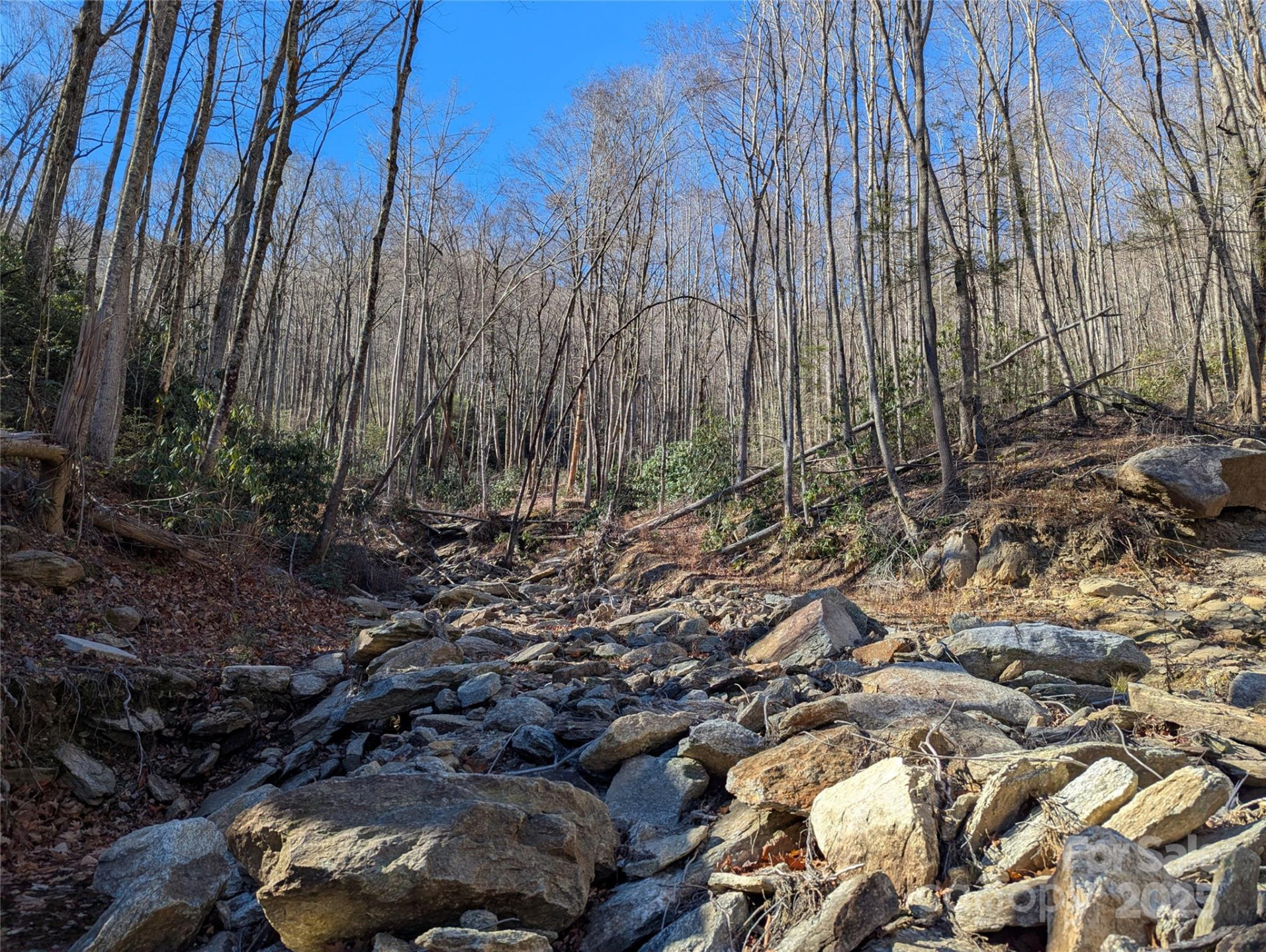 2726 Lower Flat Creek Road - Photo 16