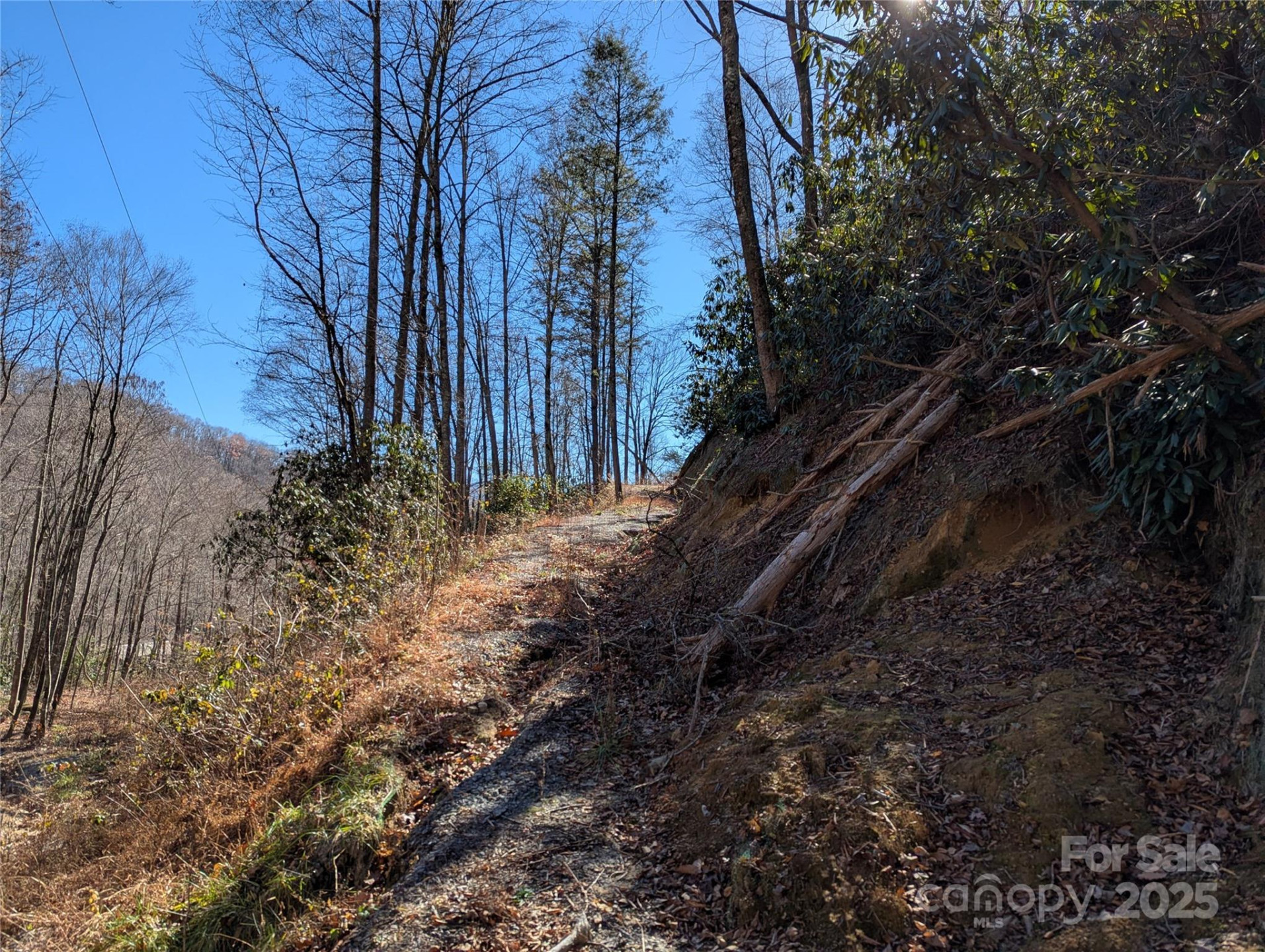 2726 Lower Flat Creek Road - Photo 19