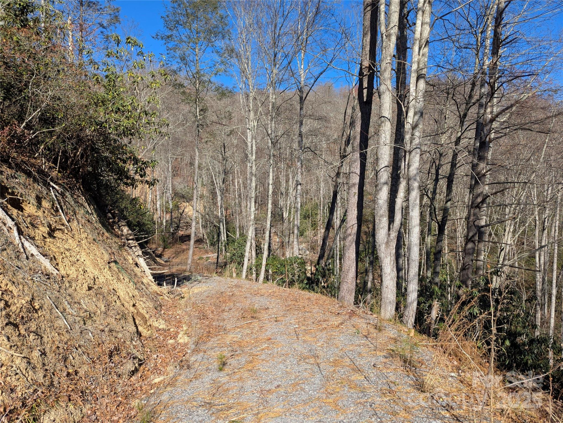 2726 Lower Flat Creek Road - Photo 20