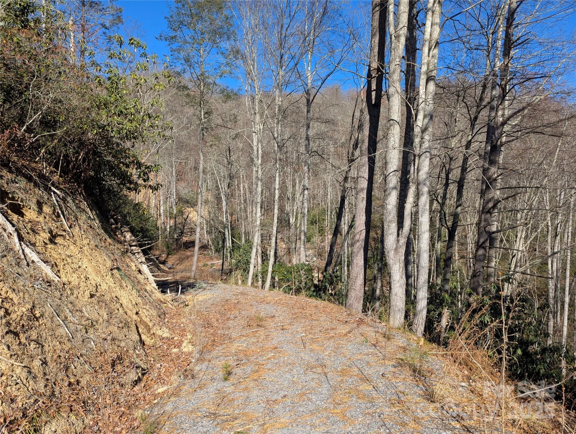 2726 Lower Flat Creek Road - Photo 20