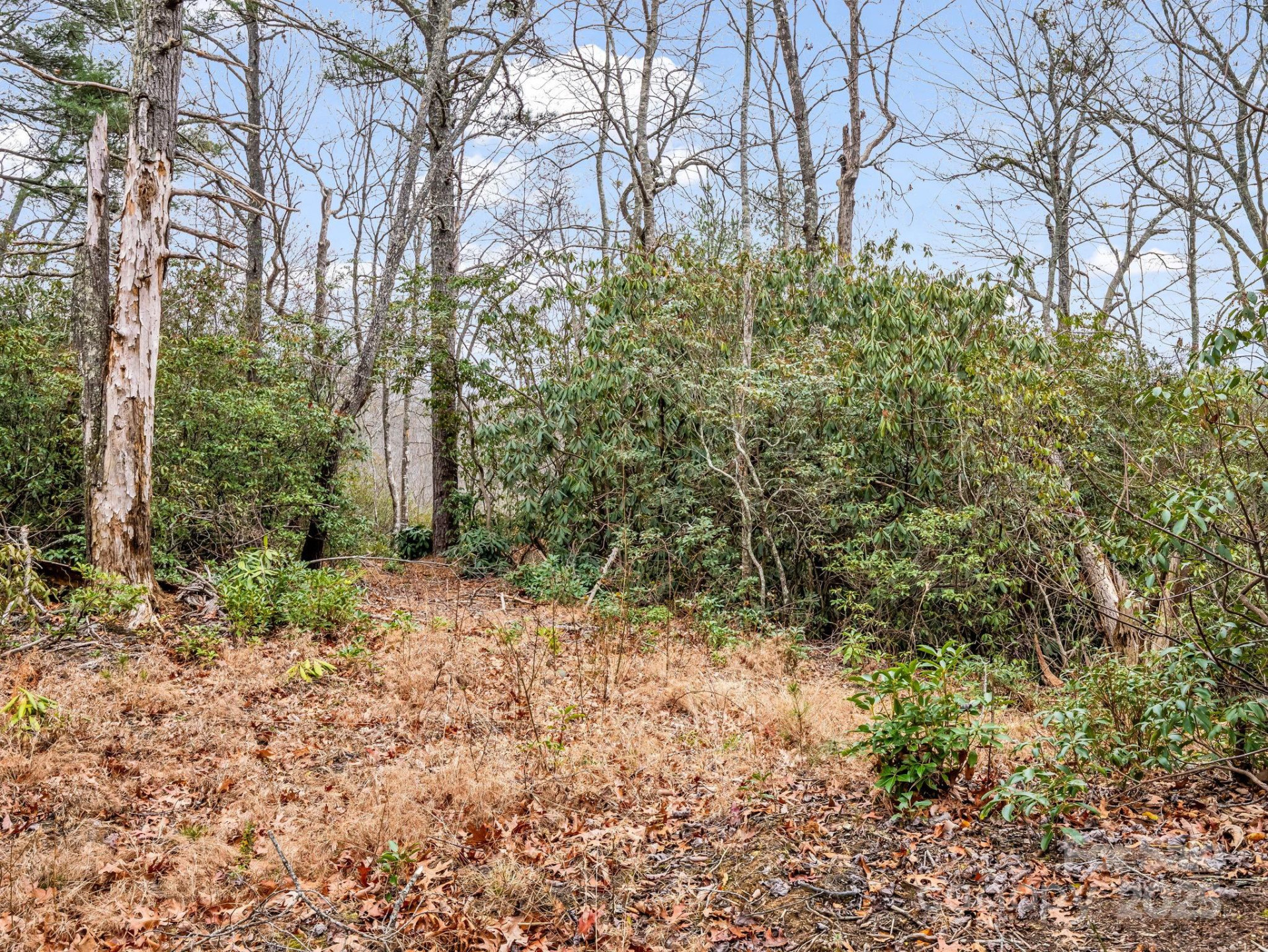 2726 Lower Flat Creek Road - Photo 22