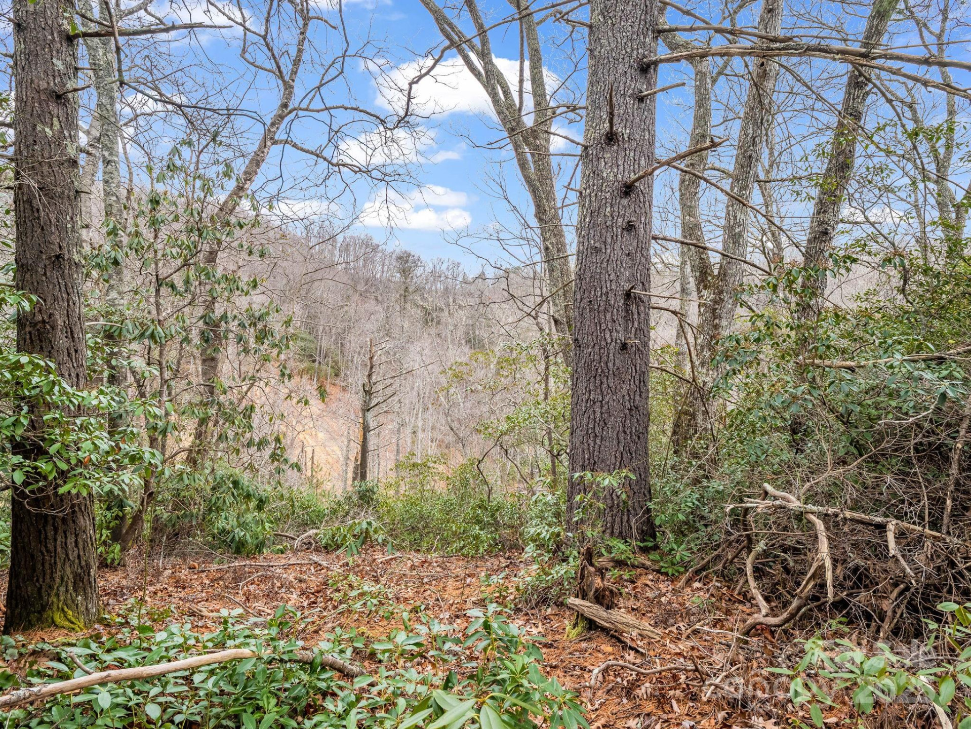 2726 Lower Flat Creek Road - Photo 23