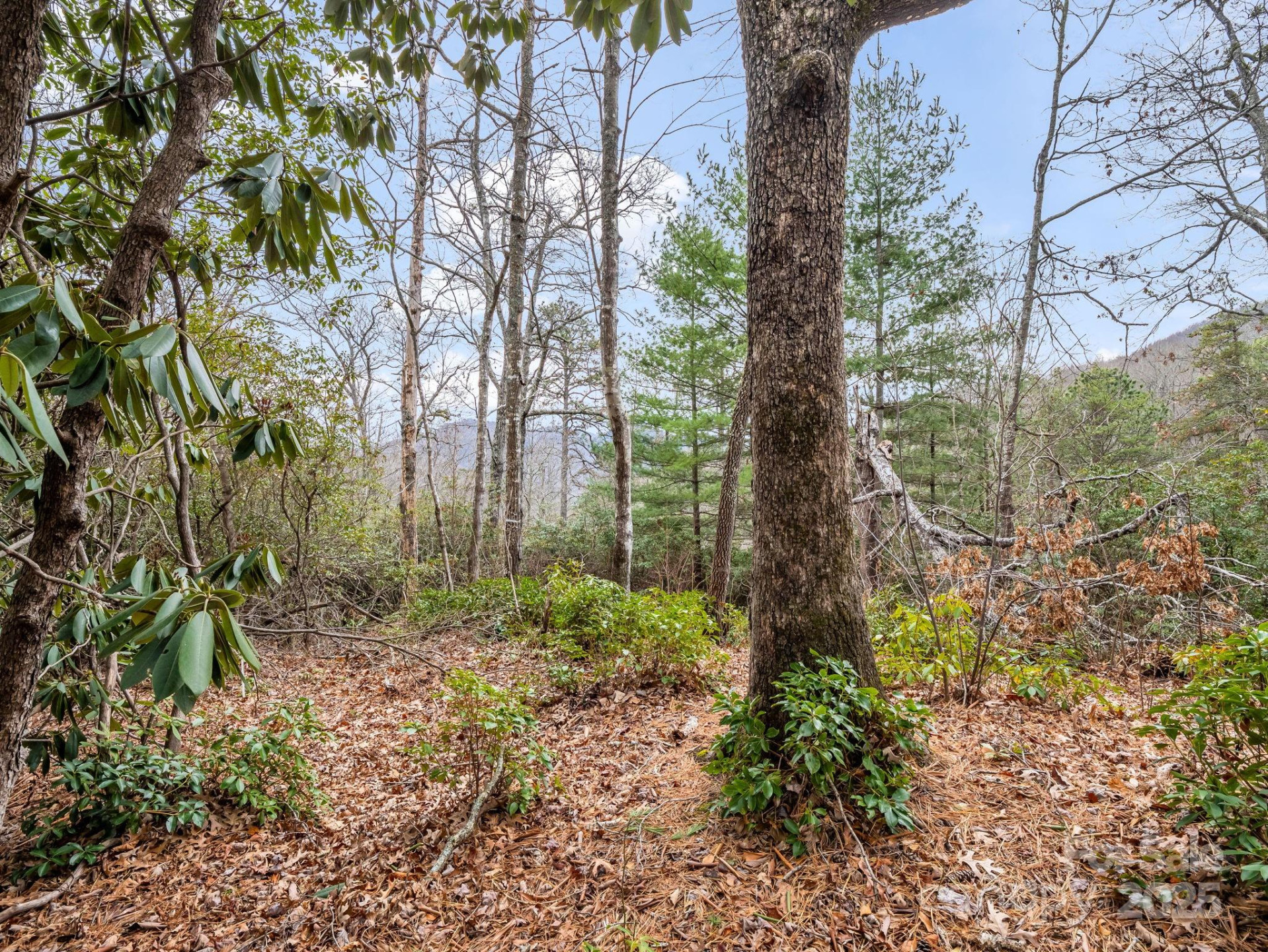 2726 Lower Flat Creek Road - Photo 24