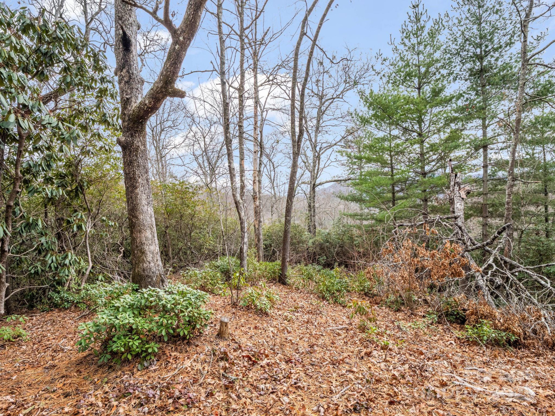 2726 Lower Flat Creek Road - Photo 25