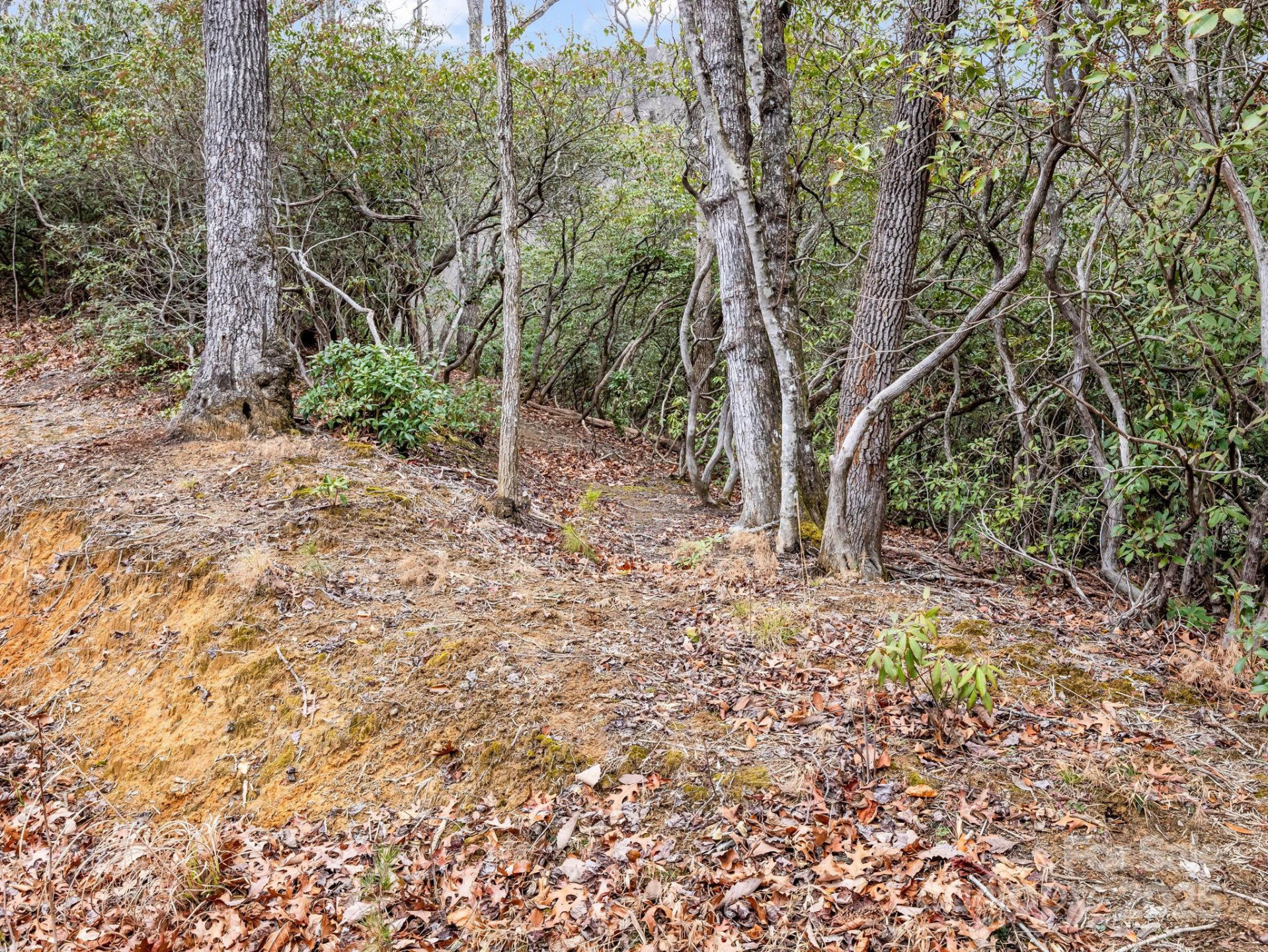 2726 Lower Flat Creek Road - Photo 26