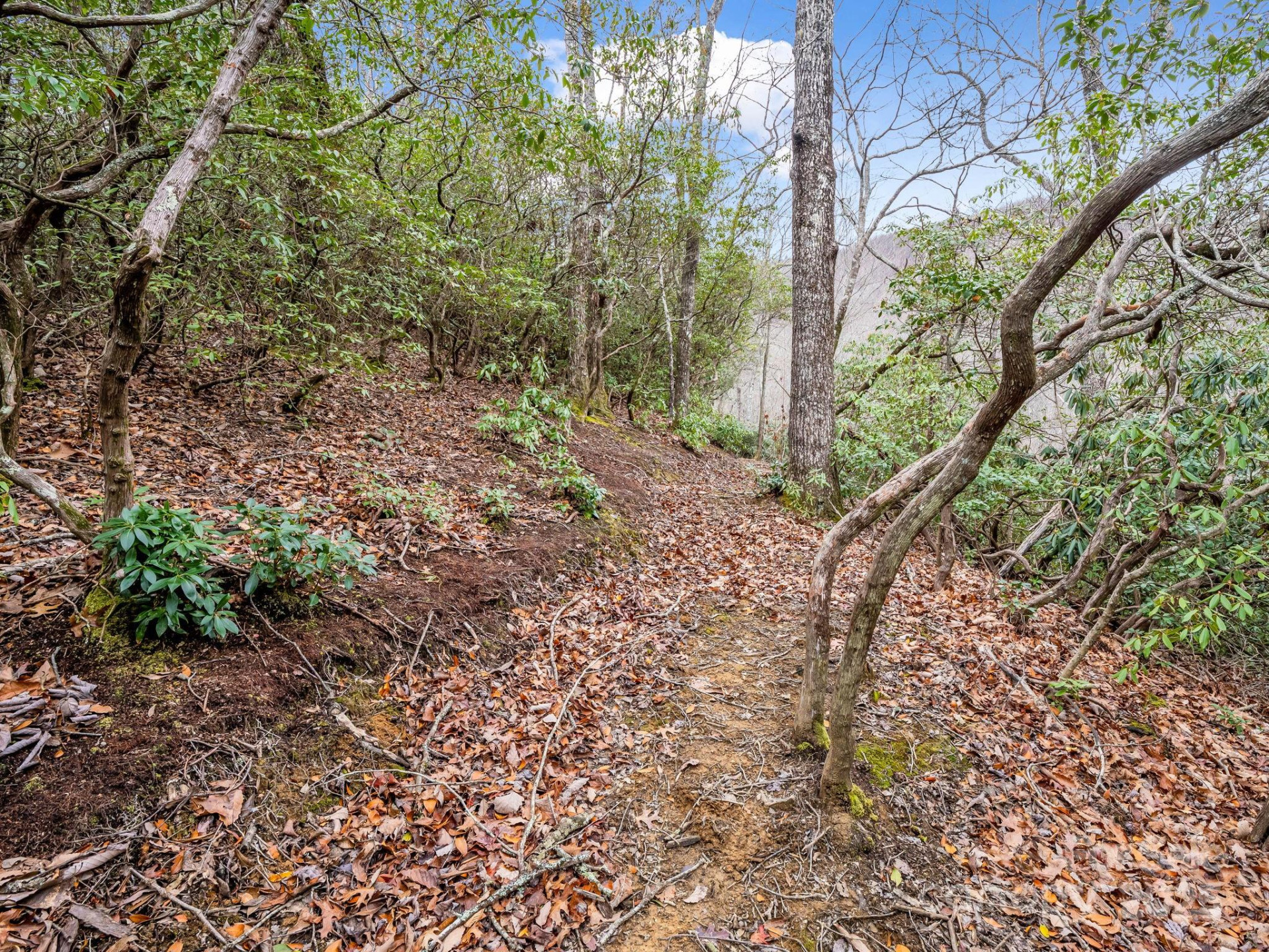 2726 Lower Flat Creek Road - Photo 27