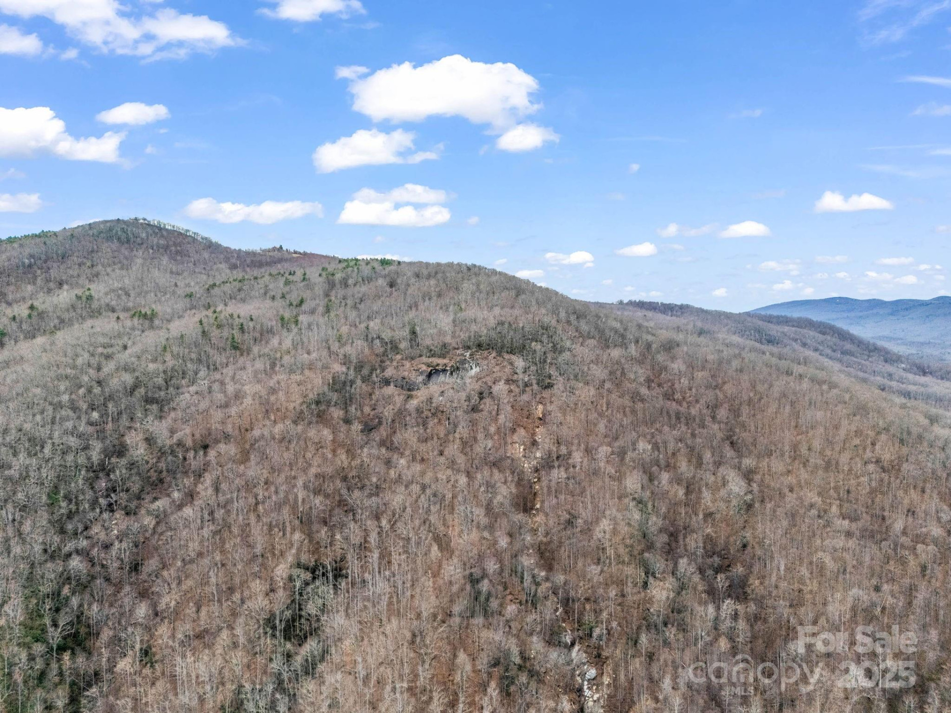 2726 Lower Flat Creek Road - Photo 33