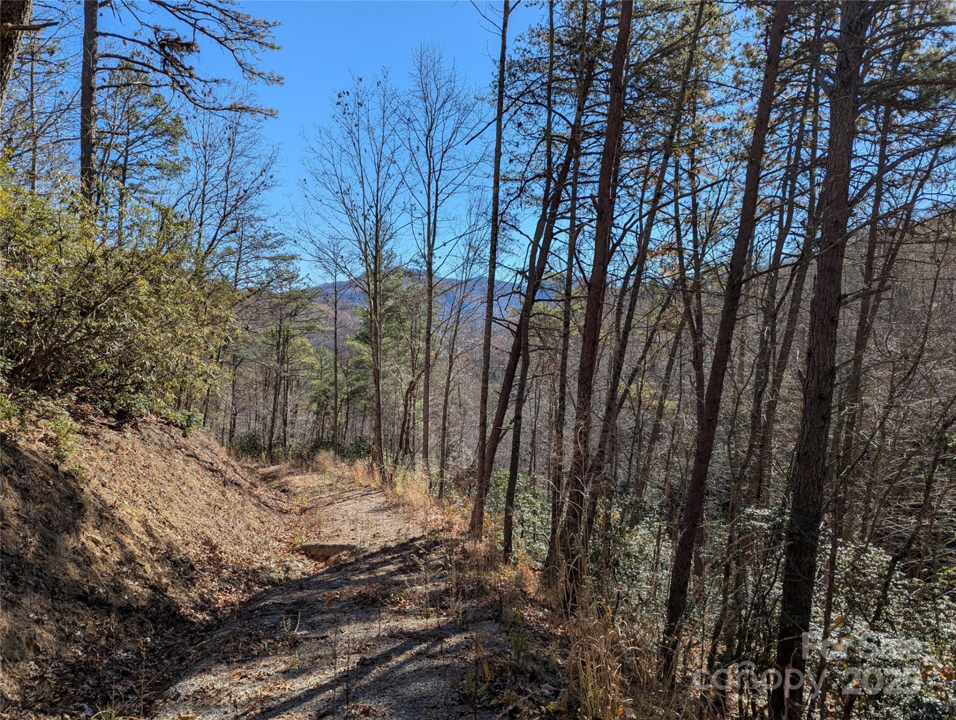 2726 Lower Flat Creek Road - Photo 36