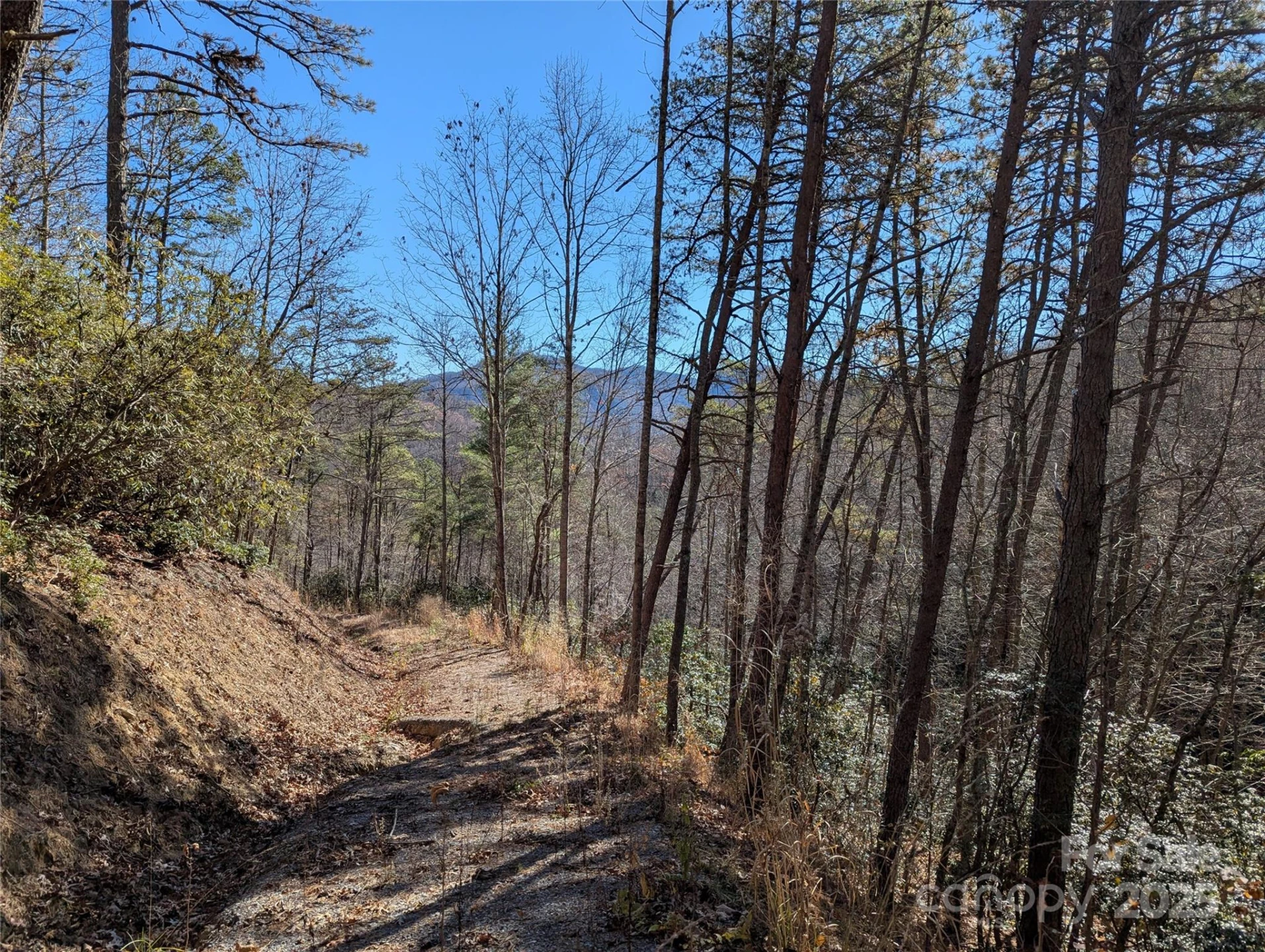 2726 Lower Flat Creek Road - Photo 36
