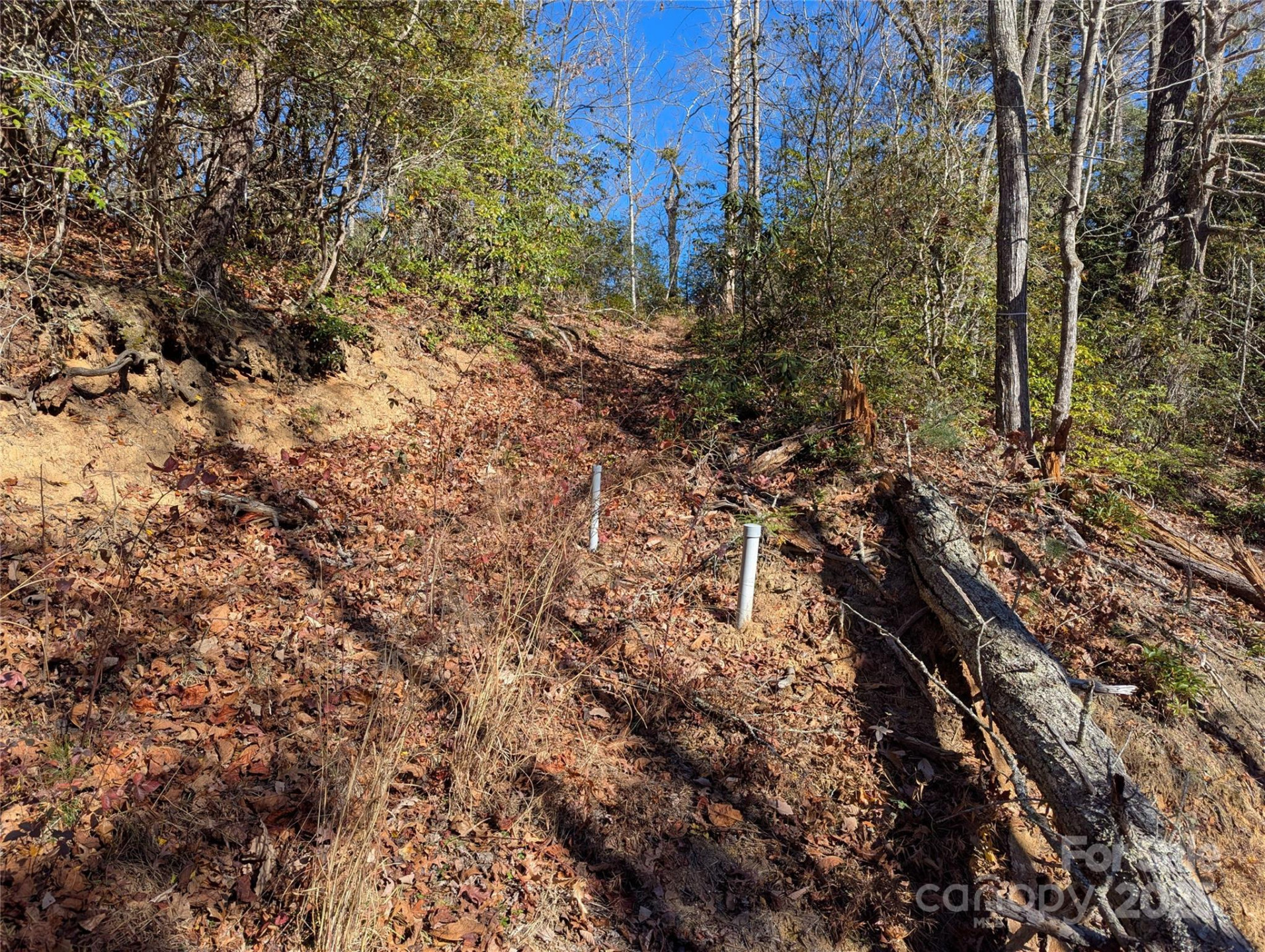 2726 Lower Flat Creek Road - Photo 37