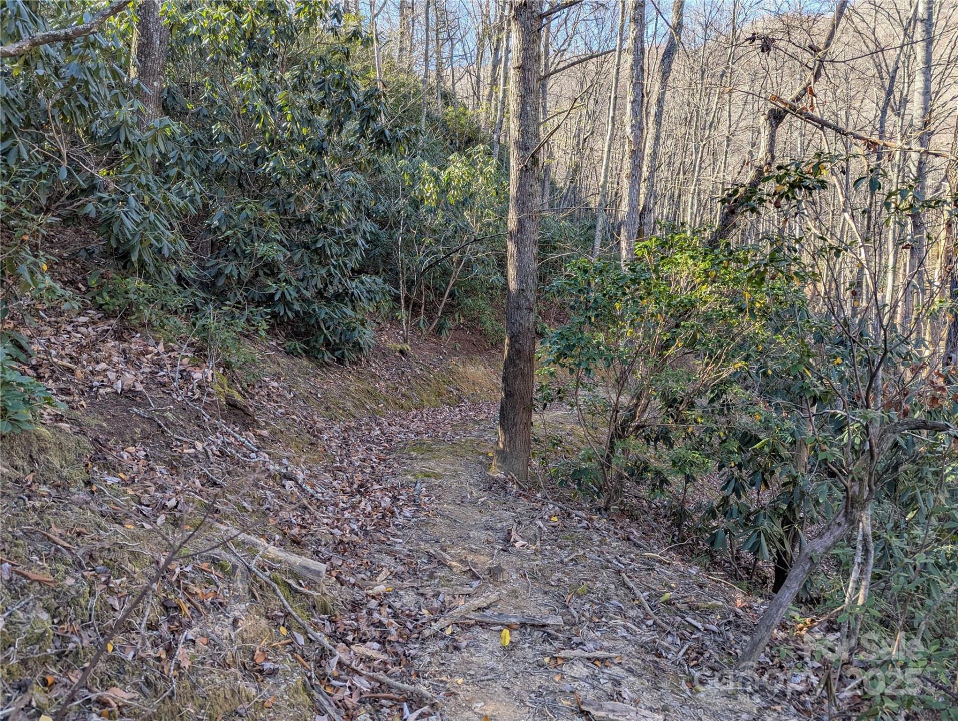 2726 Lower Flat Creek Road - Photo 38