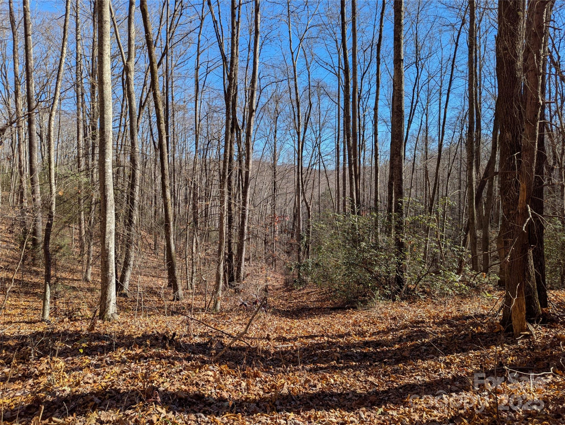 2726 Lower Flat Creek Road - Photo 42