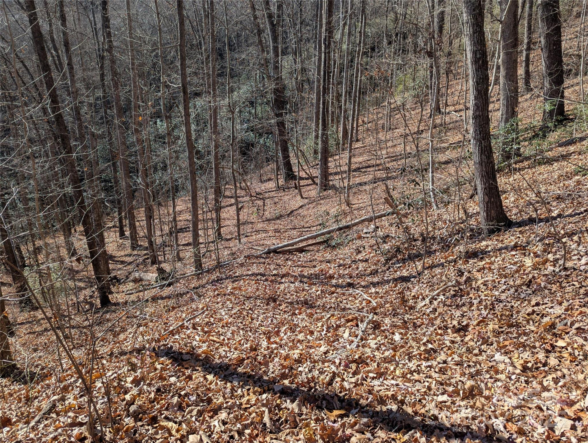 2726 Lower Flat Creek Road - Photo 43