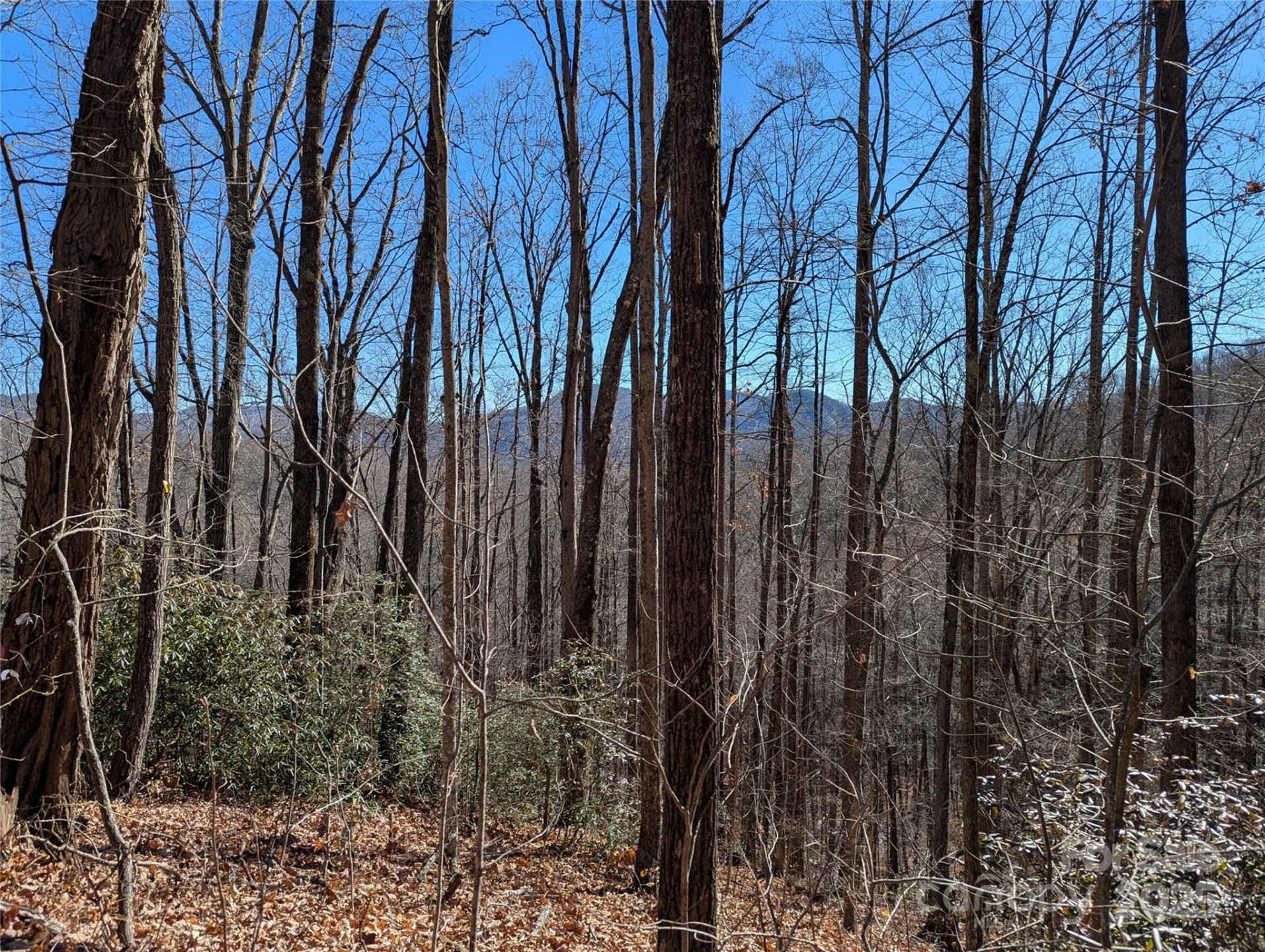 2726 Lower Flat Creek Road - Photo 44
