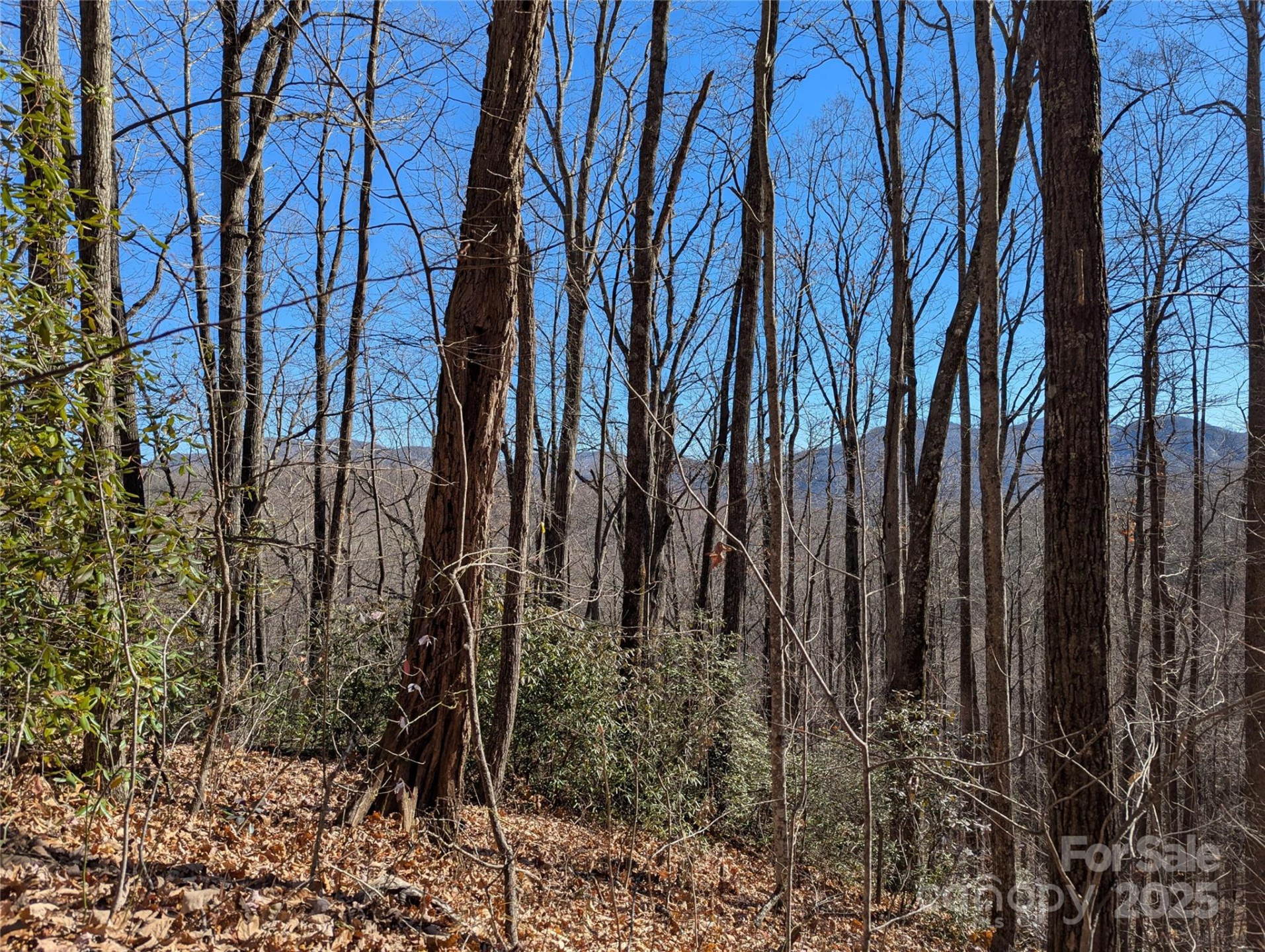 2726 Lower Flat Creek Road - Photo 45