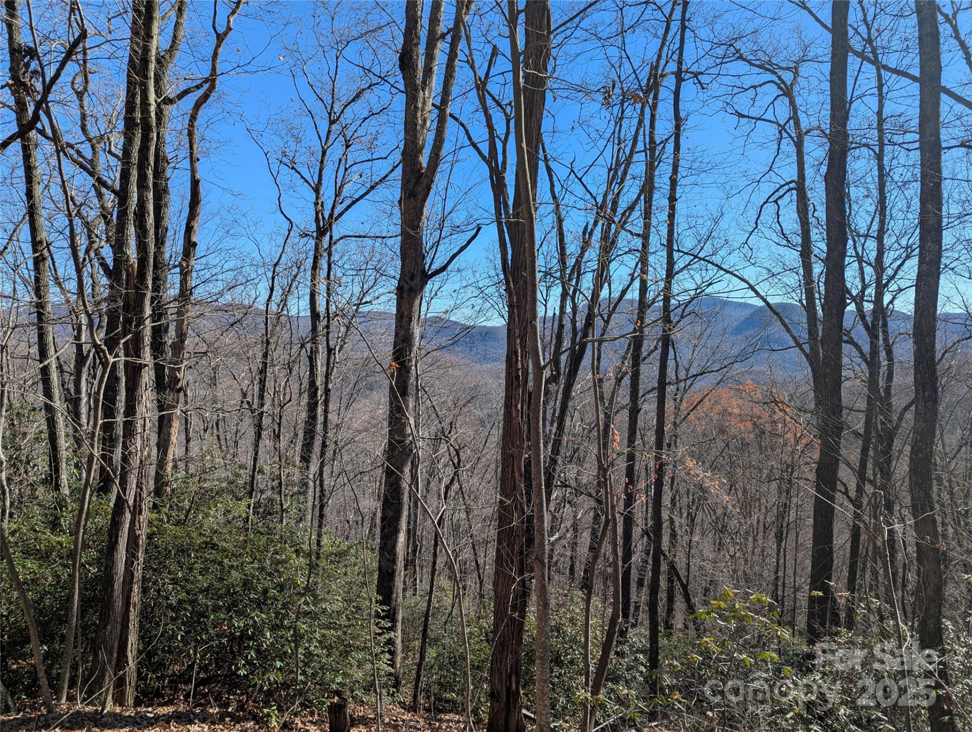 2726 Lower Flat Creek Road - Photo 46